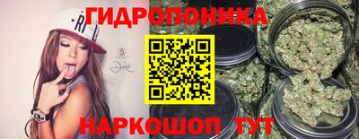 сатива Рыбинск