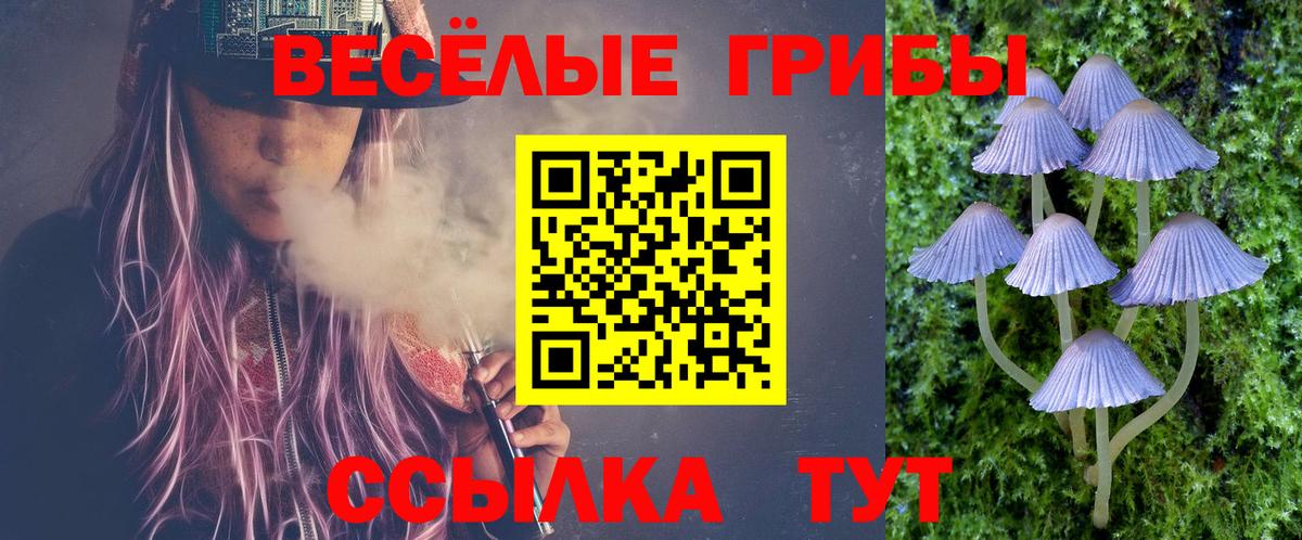 Отрадное  Галлюциногенные грибы мицелий  Вход с VPN 
